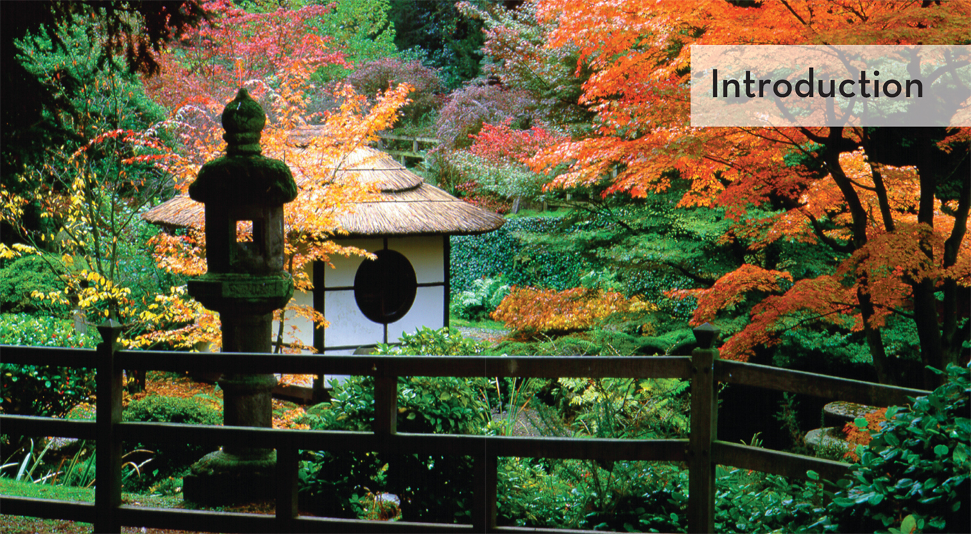 A kasuga-style lantern stands watch over a teahouse built in a secluded dell at - photo 6