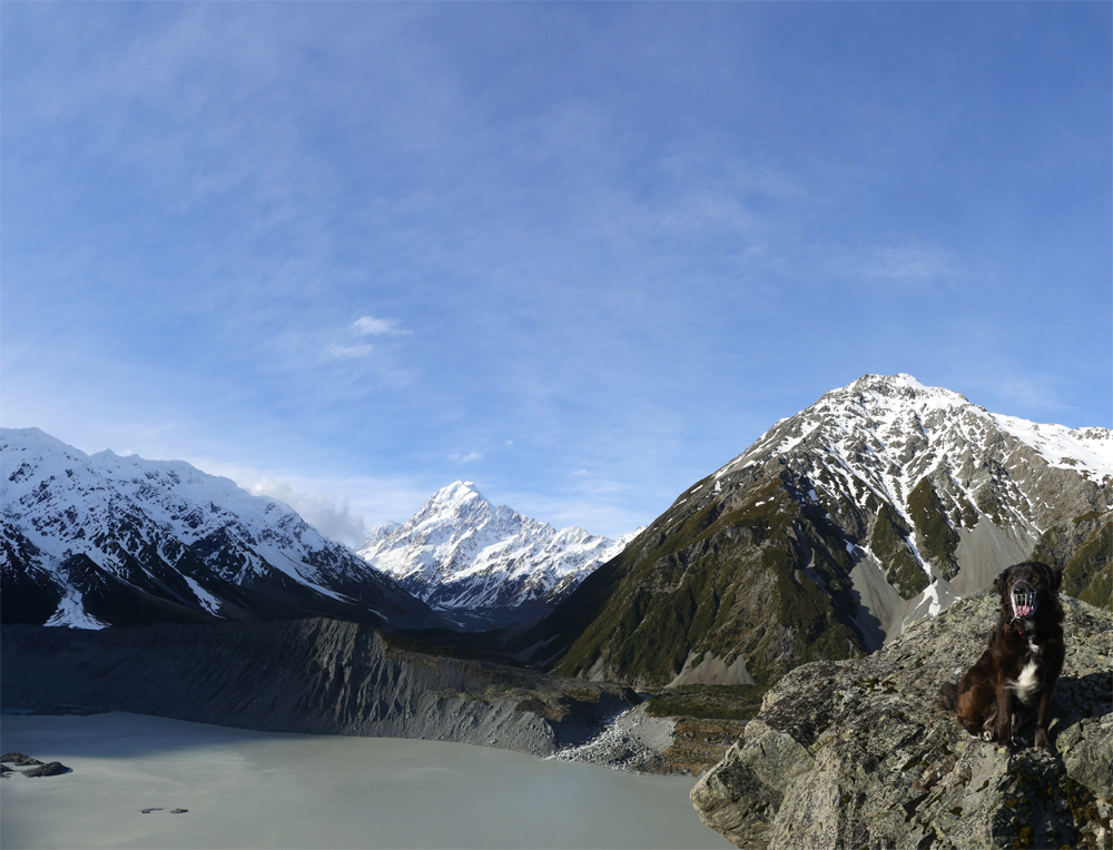 CONTENTS INTRODUCTION AJAX THE KEA DOG Me and Ajax in Kahurangi National - photo 9