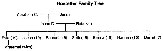 Hostetler Family Tree Yoder Family Tree - photo 4