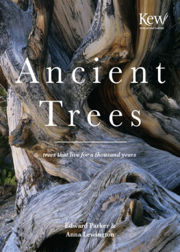 Edward Parker - Ancient Trees: Trees That Live for a Thousand Years