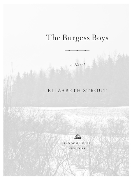 The Burgess Boys is a work of fiction Names characters places and incidents - photo 2