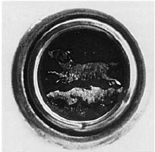 Both sides of a button with a foil picture under glass on the front The back - photo 10