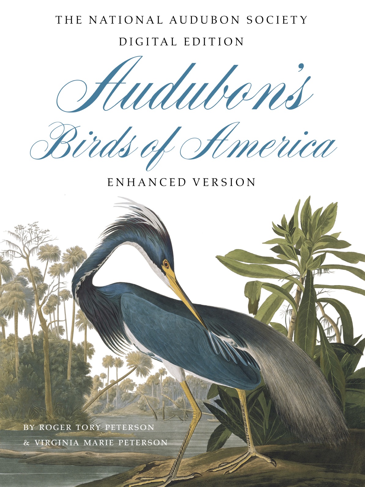 About Audubons Birds of America A brilliant achievement New York Times Even - photo 1