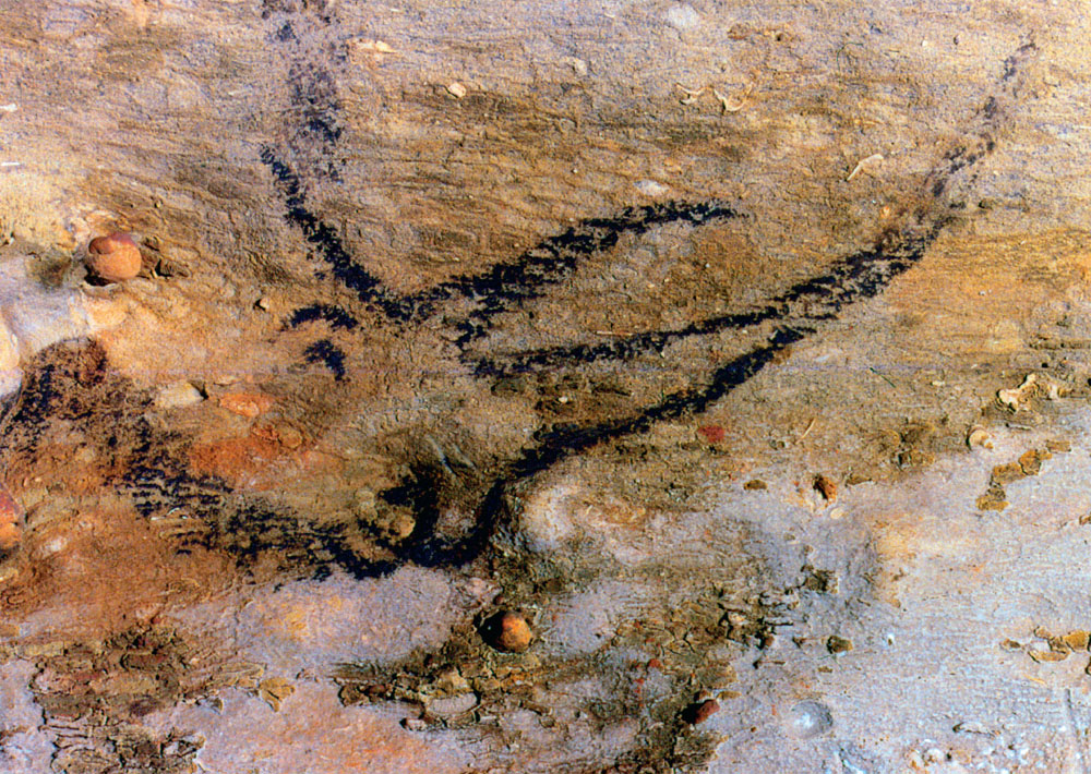 Head of a rhinoceros from The Three Rhinoceroses Frieze in the cave of - photo 3