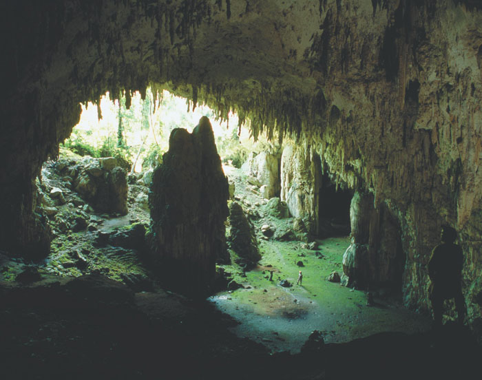 Entrance to the cave of Naj Tunich Guatemala where a previously unknown - photo 5