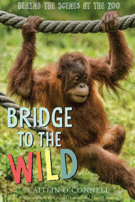 Caitlin O’Connell - Bridge to the Wild: Behind the Scenes at the Zoo