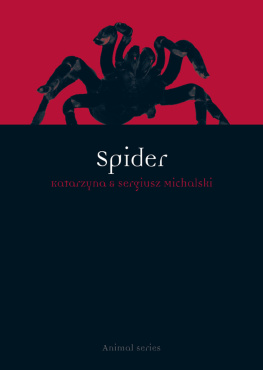 Katarzyna Michalski Spider