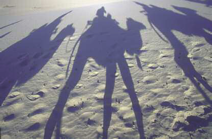 Shadows of a caravan of camels cast on the desert sand Dunhuang province of - photo 4