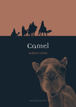 Robert Irwin - Camel