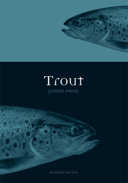 James Owen - Trout