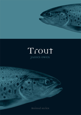 James Owen Trout