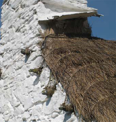 SHIRE PUBLICATIONS Thatch anchored by ropes tied to timbers projecting from the - photo 1