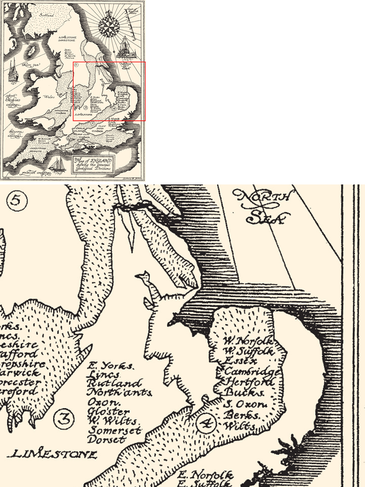 Sydney R Joness depiction of Englands geology and the materials used for - photo 12