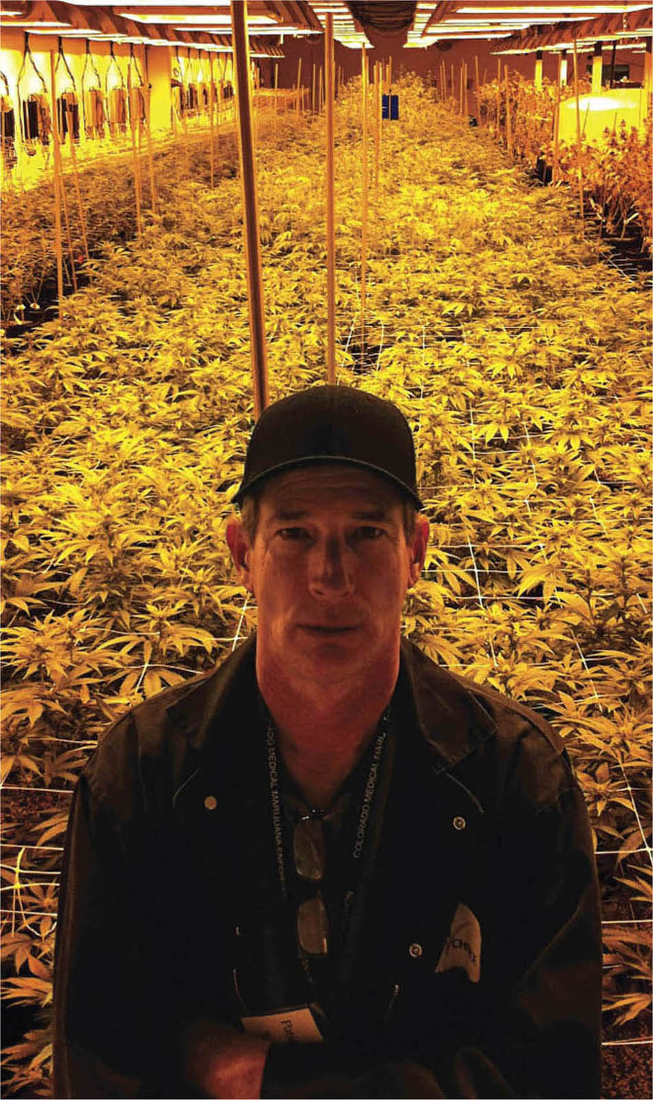 The author at work K of Trichome Technologies in a cannabis grow facility - photo 7