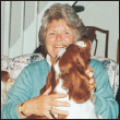 Clad in rich red and white the Welsh Springer has the instincts of a skilled - photo 3