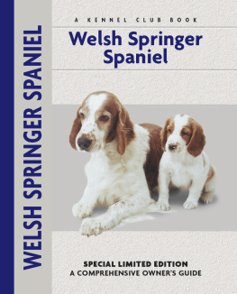 Haja Van Wessem - Welsh Springer Spaniel