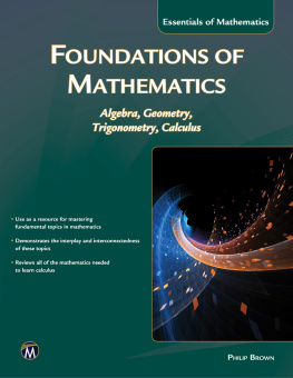 Philip Brown - Foundations of Mathematics: Algebra, Geometry, Trigonometry and Calculus