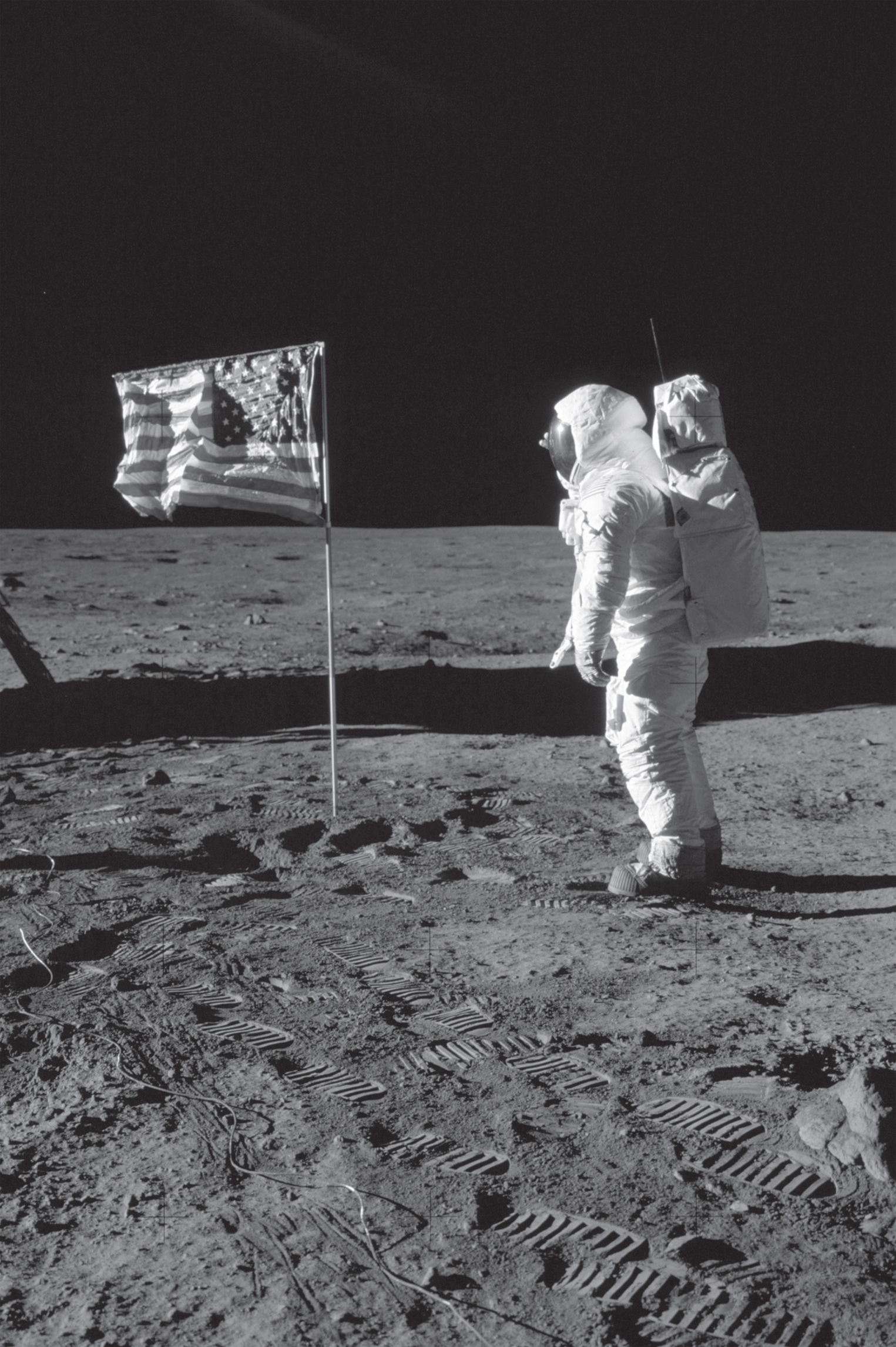 Buzz Aldrin stands beside the US flag during the first moon landing of the - photo 5