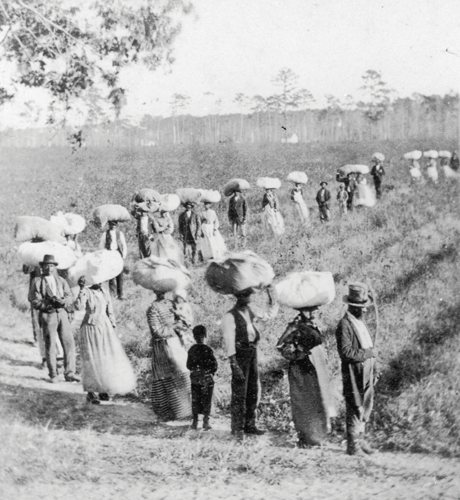 Demand for American cotton soared in 1860 Increasing exports to the Northern - photo 7