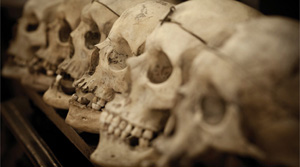 Criminal skulls in the Cesare Lombroso Museum in Turin Italy The Museum of - photo 18