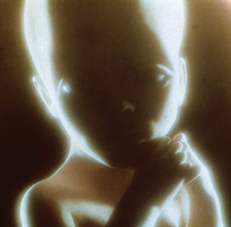 EVERETT The Star Child from 2001 A Space Odyssey INTRODUCTION THE HISTORY - photo 3