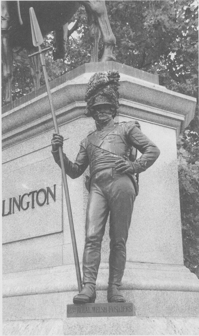 Frontispiece Wellington Memorial A sergeant of the 23rd Foot Royal Welch - photo 1