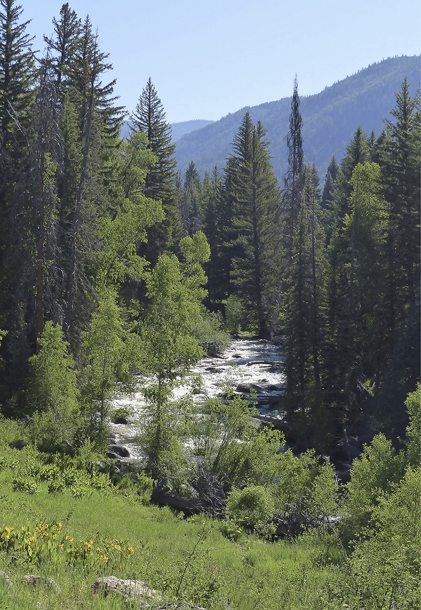 Foreword The Encyclopedia Britannica lists the Rocky Mountains as number one of - photo 10