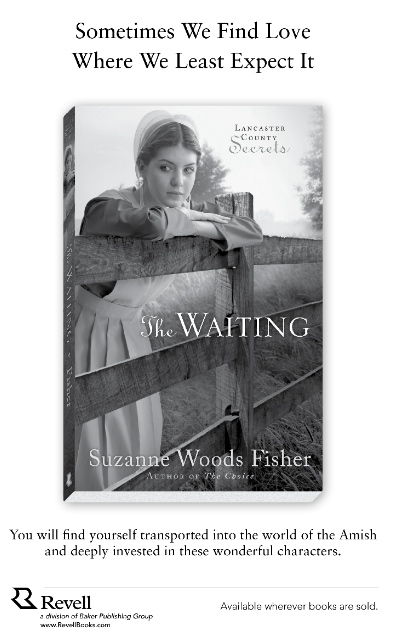 Lancaster County Secrets Book 3 The Search A Novel Suzanne Woods Fisher - photo 2