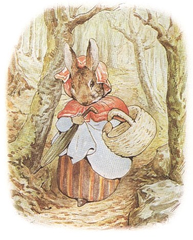 Then old Mrs Rabbit took a basket and her umbrella and went through the wood - photo 20