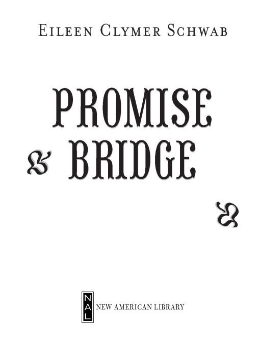 Table of Contents Praise for Promise Bridge Eileen Clymer Schwabs debut - photo 1