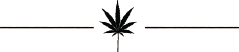 Cannabis is a genus of flowering plants in the family of Cannabaceae which - photo 5