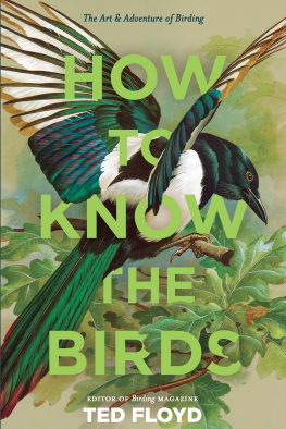 Ted Floyd How to Know the Birds: The Art & Adventure of Birding