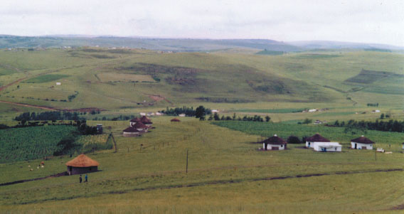 Nkantolo landscape showing the remains of the Tambo homestead What shaped the - photo 4