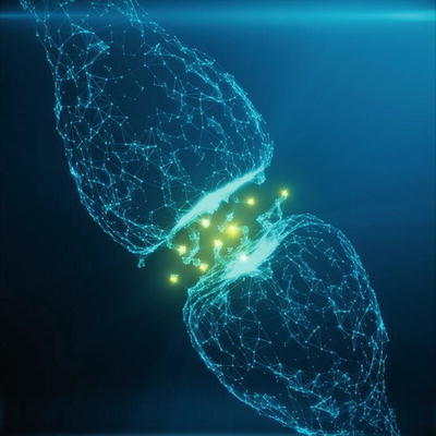 Figure 1-5 The synapse Given all these complex interconnections something - photo 5