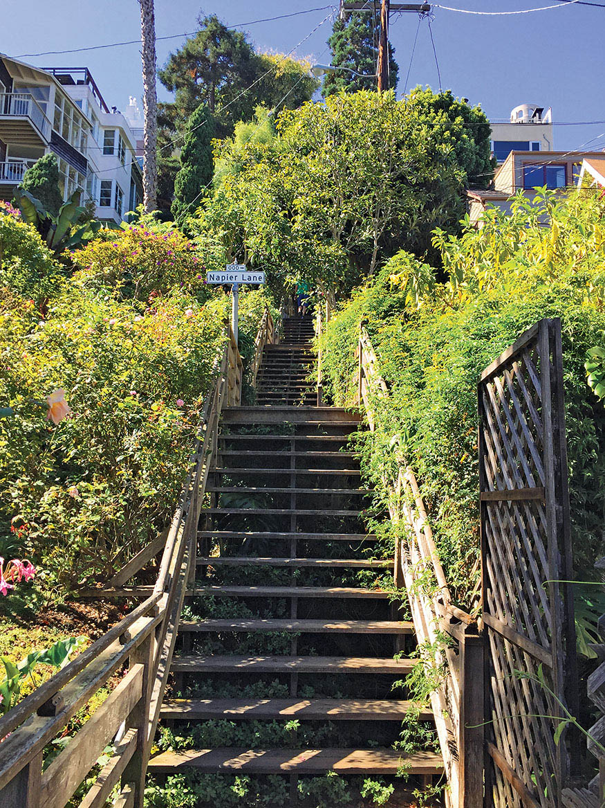 Stairways through lush gardens like the Filbert Steps across Napier Lane on - photo 7