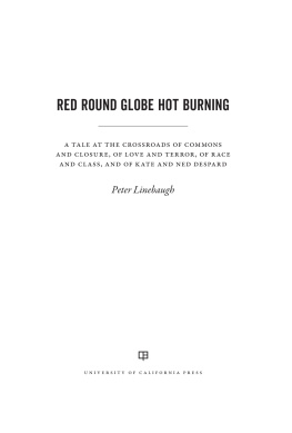 Peter Linebaugh - Red Round Globe Hot Burning: A Tale at the Crossroads of Commons and Closure, of Love and Terror, of Race and Class, and of Kate and Ned Despard