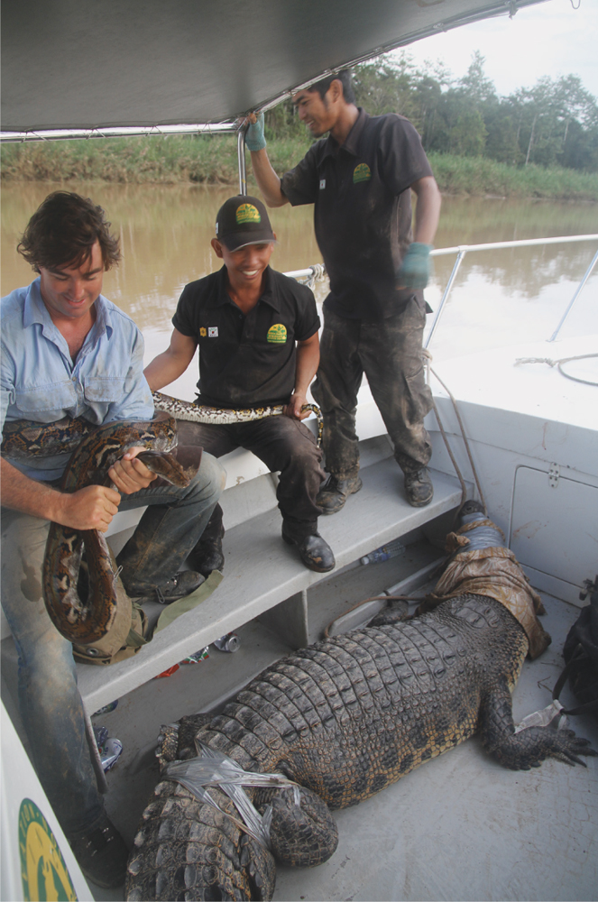 Relocating the python and a crocodile upriver during the infamous boat trip - photo 24