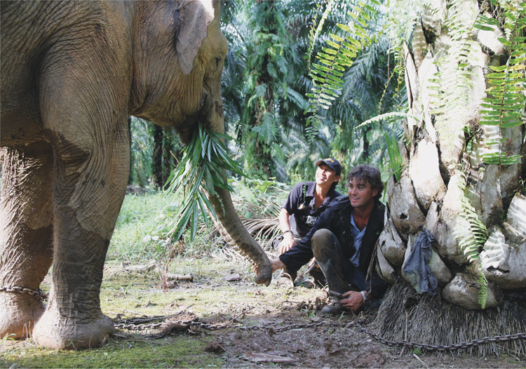 JB and me connecting with the bull elephant we caught and relocated in the - photo 26