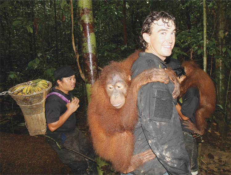 Releasing the beautiful orangutans at the wildlife sanctuary Kaia and me - photo 27