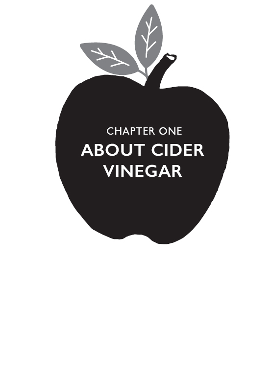 ABOUT CIDER VINEGAR Making cider vinegar involves two basic types of - photo 3