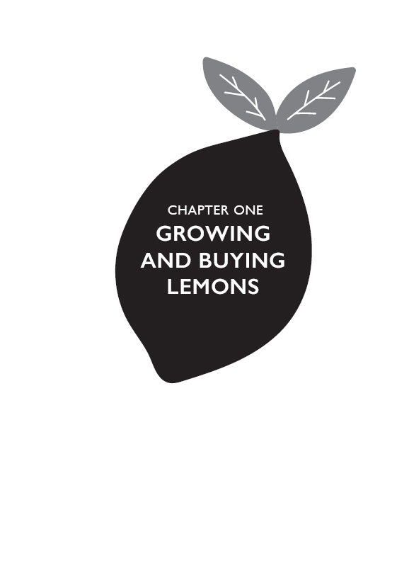 GROWING AND BUYING LEMONS The evergreen lemon tree can grow up to 6m19ft - photo 3