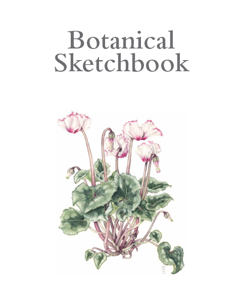 Botanical Sketchbook Mary Ann Scott with Margaret Stevens PSBA in association - photo 1