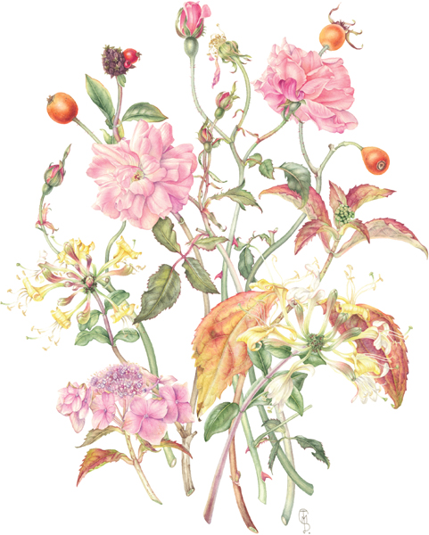 Botanical Sketchbook Inspiration and Guide to Keeping a Sketchbook - image 2