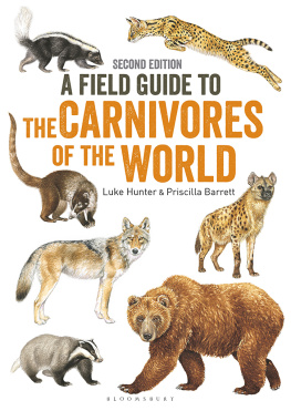 Priscilla Barrett - Field Guide to Carnivores of the World