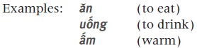 c An initial consonant plus a vowel or vowel cluster with or without a tone - photo 4