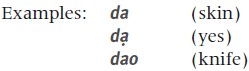 d An initial consonant plus a vowel or vowel cluster with or without a tone - photo 5