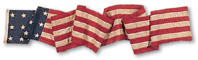 Long May She Wave A Graphic History of the American Flag - image 13