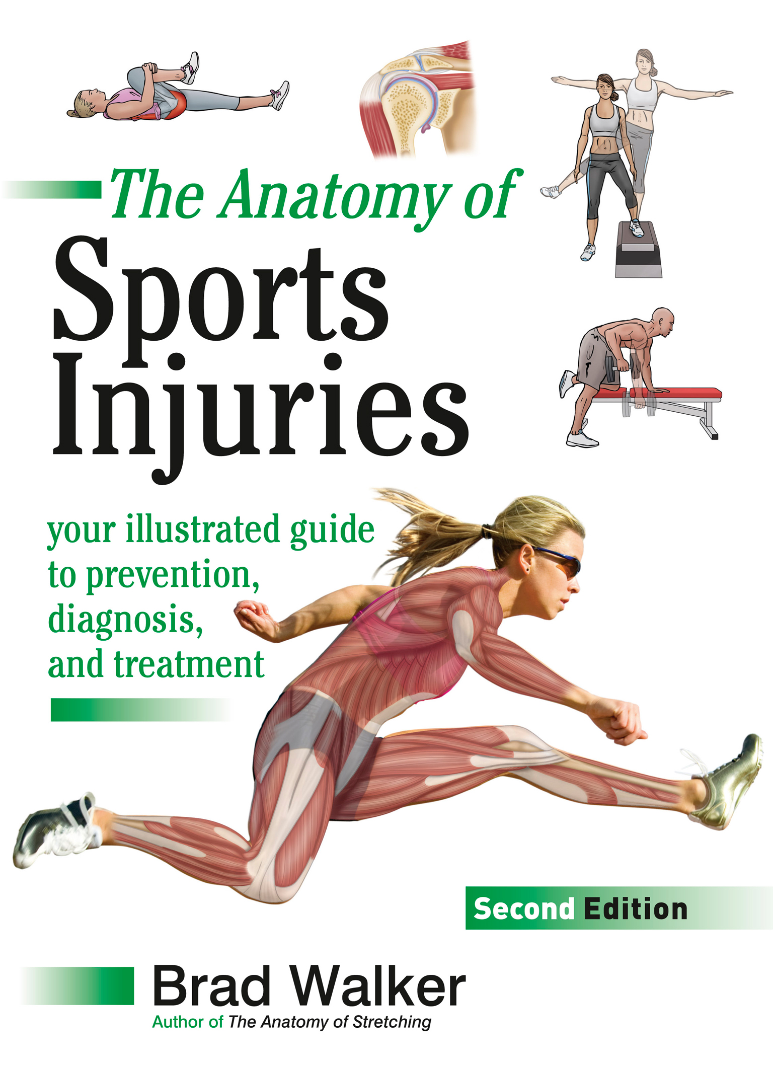 The Anatomy of Sports Injuries Your Illustrated Guide to Prevention Diagnosis - photo 1