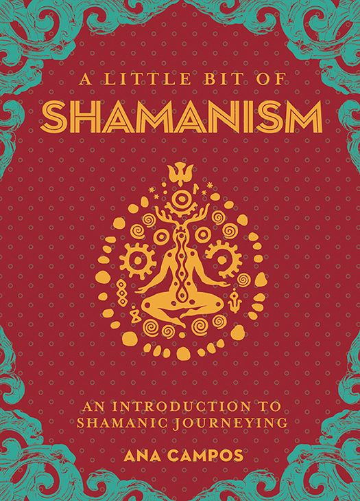 A Little Bit of Shamanism An Introduction to Shamanic Journeying - image 1