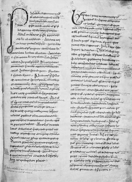 Figure 01 Old Irish glosses on Priscians Institutiones grammaticae 845 CE - photo 4